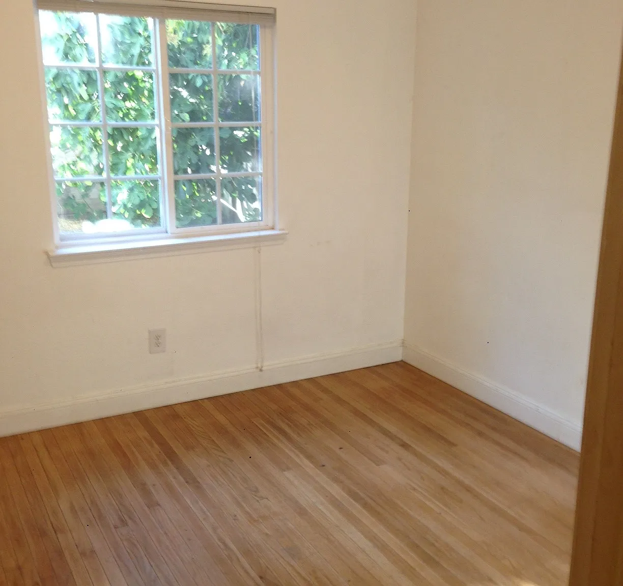 5 bed, 1800 sqft, $5,800 — Photo 3