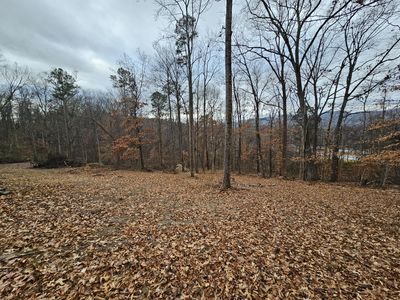 292 Peters Rd, Bristol, TN, 37620