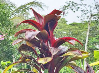 14-3593 Oahu Rd LOT 87, Pahoa, HI 96778