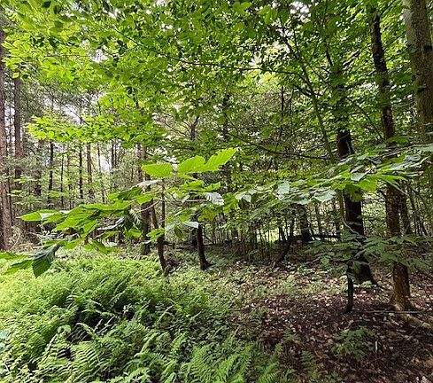 3rd image of 0 Hill Rd Lot 4