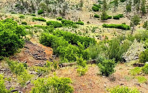 1st image of 1 Gulch Rd