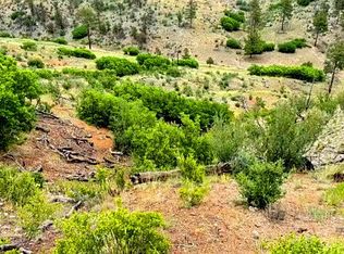 1 Gulch Rd, Cotopaxi, CO 81223