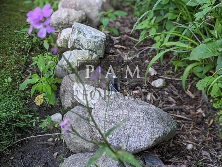 21225 Mary Lynn Dr — Photo 22