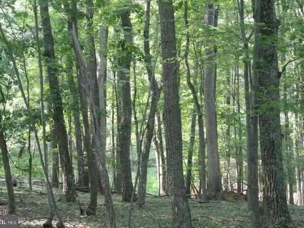 Deer Run, Berkeley Springs, WV 25411