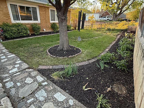 Front Yard