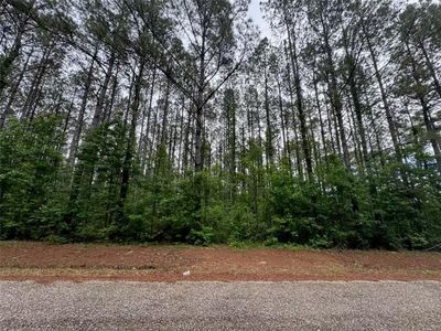 Newman Briggs Rd, Kentwood, LA, 70444