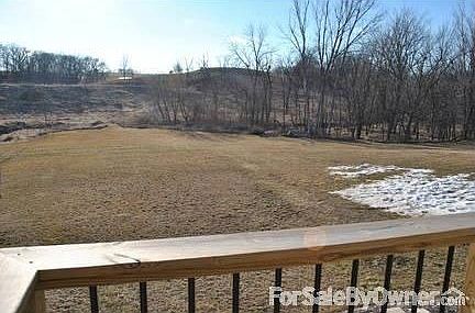Timber and back yard