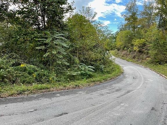4th image of 0 Oak Lake Dr Lot 55