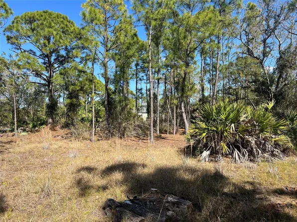 28019 TREADMILL DRIVE, PUNTA GORDA, FL 33955