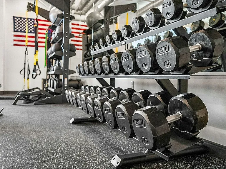 Free Weights and State-Of-The-Art Equipment