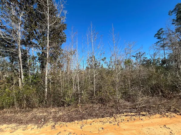 Tbd Seashore Avenue, Alford, FL 32420