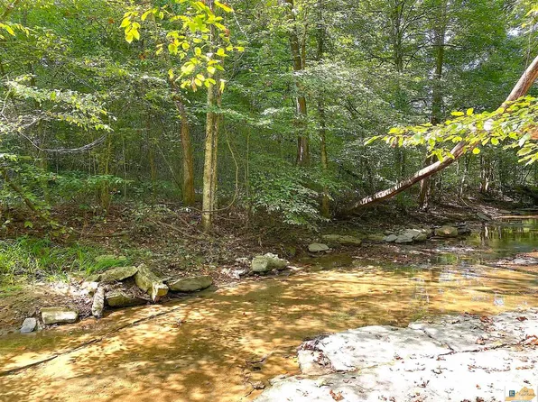 4.18 Ac Cape Rd, Jamestown, KY 42629