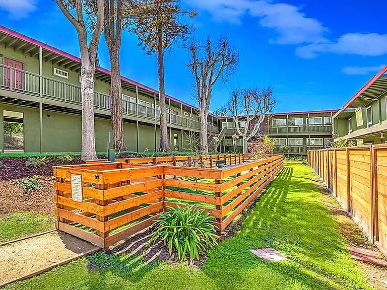 Pacific Pines — Photo 19