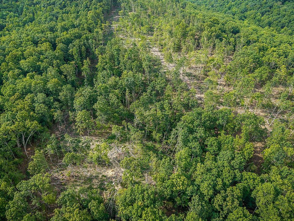 58th image of this home