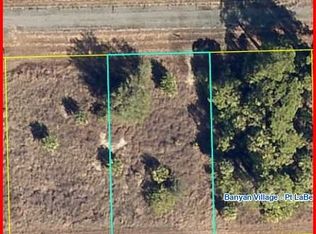 212 John Young Ter, Labelle, FL 33935