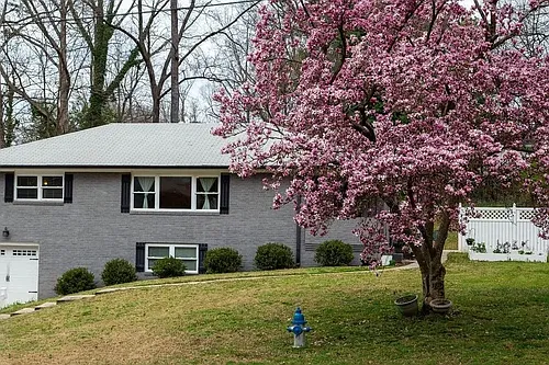 831 Parkway Dr SE Photo 1