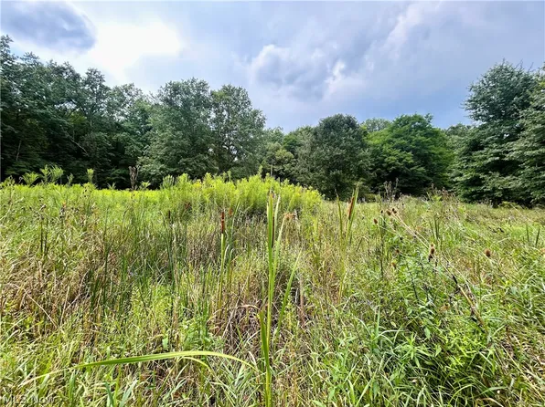 6027 State Route 88, Kinsman, OH 44428
