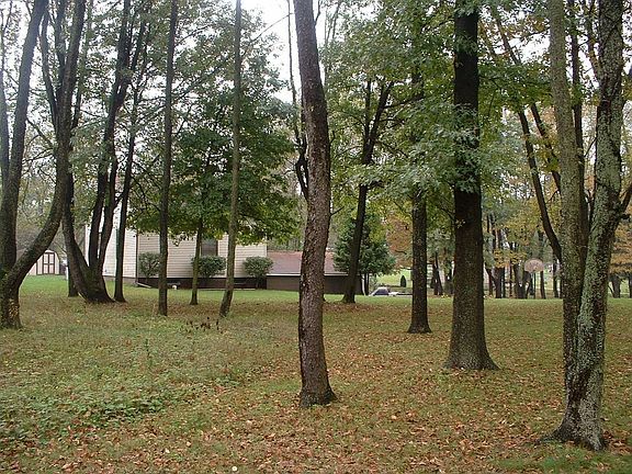 Large Lot with Woods
