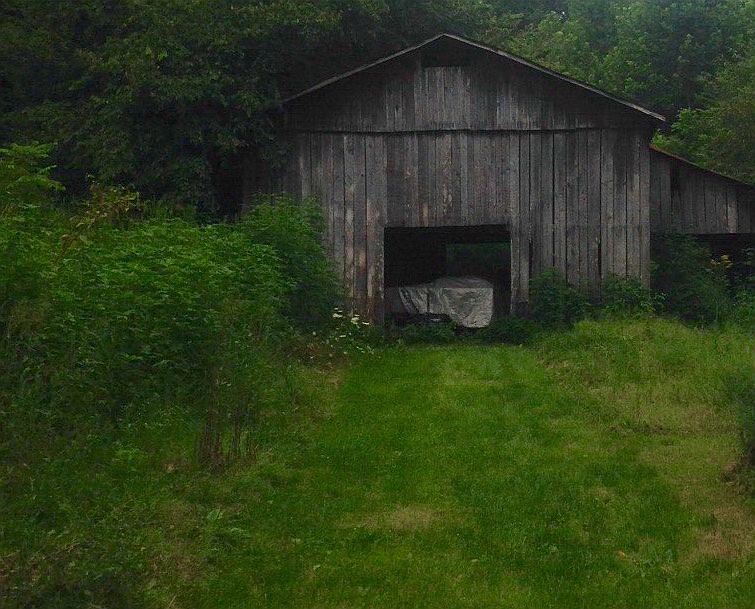 2nd image of 4941 Knifley Rd