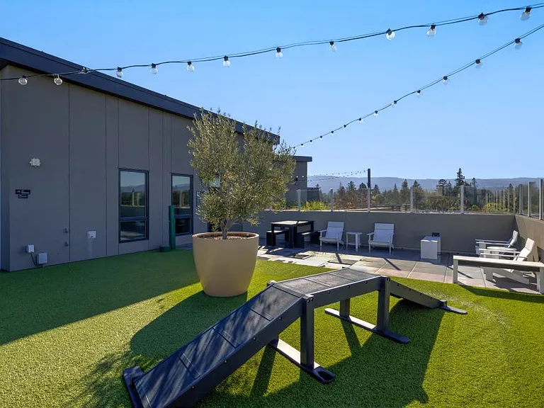 MV Apartments — Photo 25
