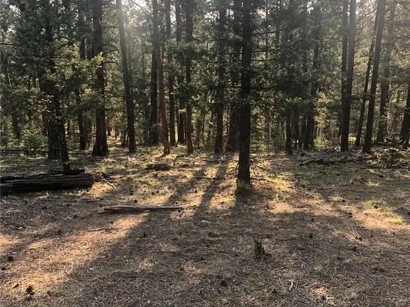 469 Echo Lake Dr, Lake George, CO 80827