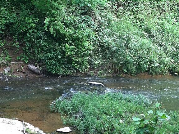 Backyard leads to this