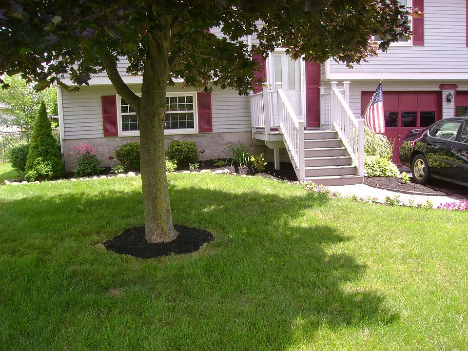 1st image of 8442 Torchwood Ln