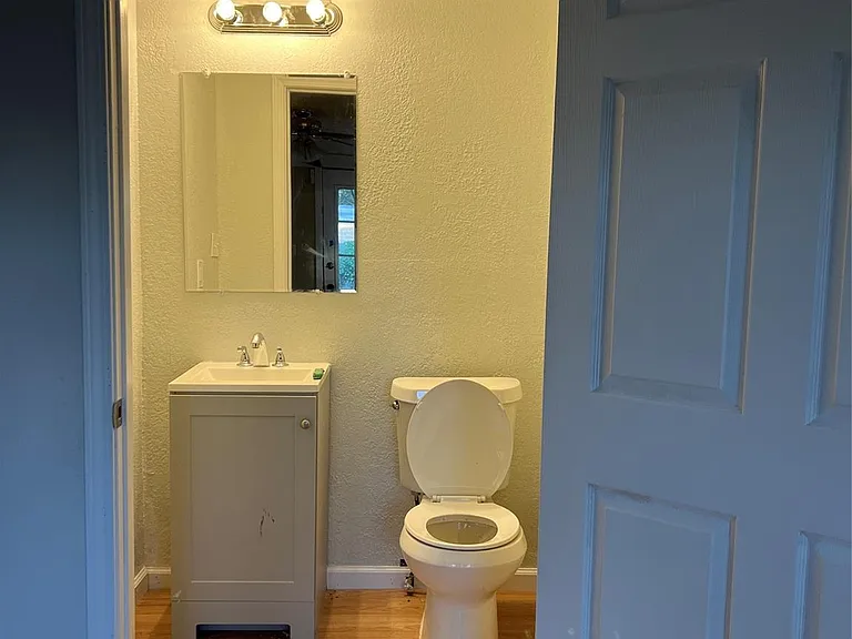411 E Alabama St — Photo 16