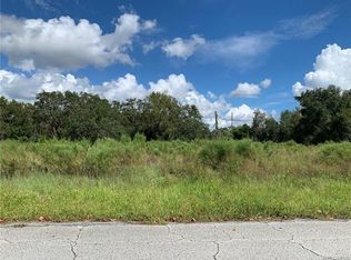 17139 Carlesimo Ave, Spring Hill, FL 34610