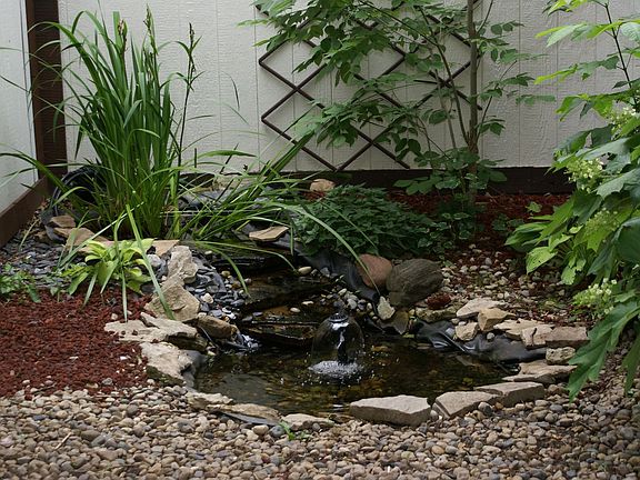 Koi Pond