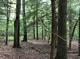 774 Owego Hill Rd #9, Harford, NY 13784