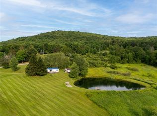 1635 Chipmunk Hollow Rd, Walton, NY 13856