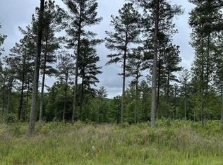 2266 Jumping Run #33, Connelly Springs, NC 28612