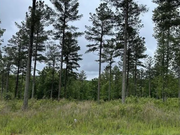 2266 Jumping Run #33, Connelly Springs, NC 28612