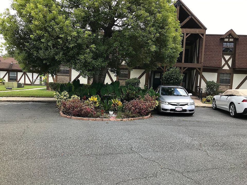 Tree and garden 