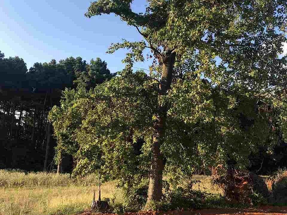 1st image of 18323 Timber Oaks Dr Lot 15