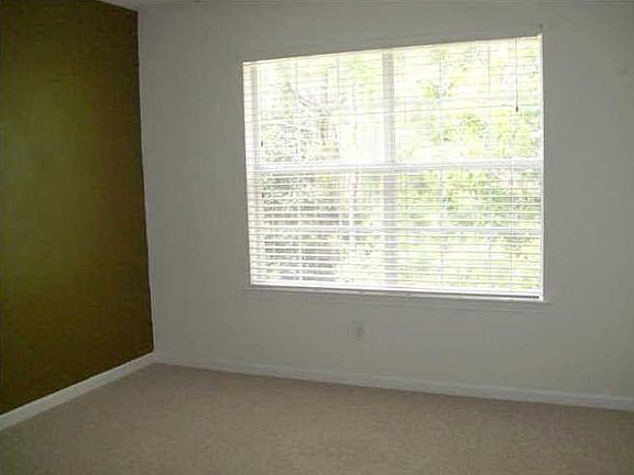 5th image of 1423 Tiger Lake Dr #Na