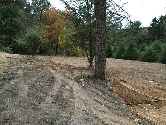 2nd image of 38 Winding Ln