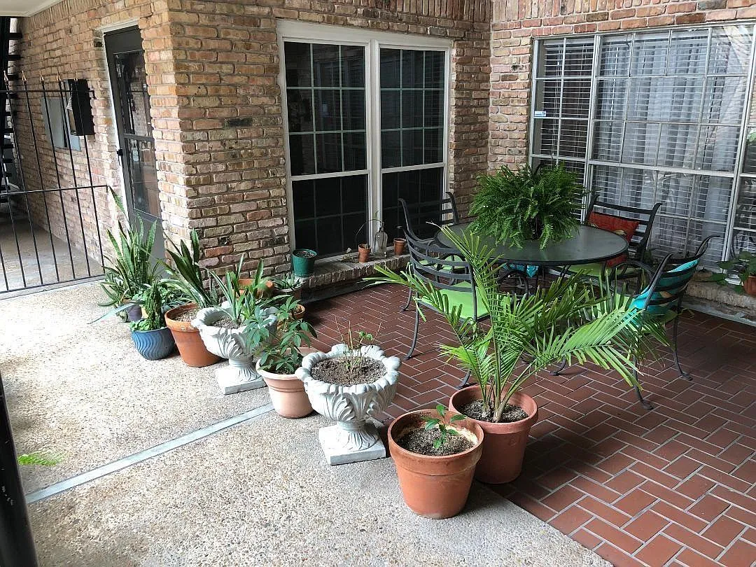 1 bed, 1.0 bath, 602 sqft, $1,195 — Photo 3