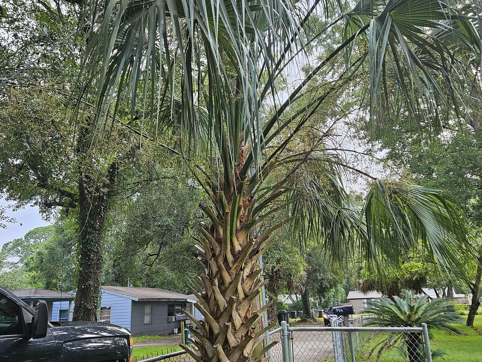 N 46th Ave, Pensacola — Photo 3