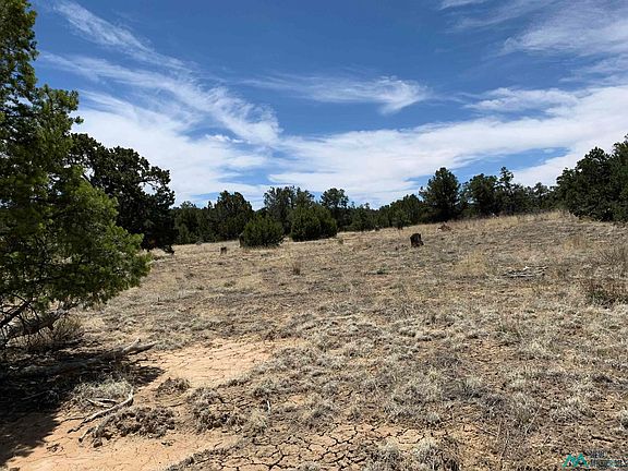 3rd image of 83 Bear Valley Rd