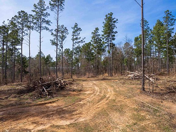 3rd image of 130 SE County Rd #4415