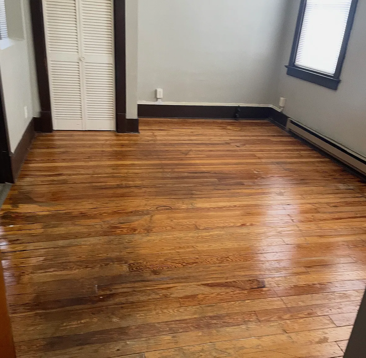2 bed, $800 — Photo 1