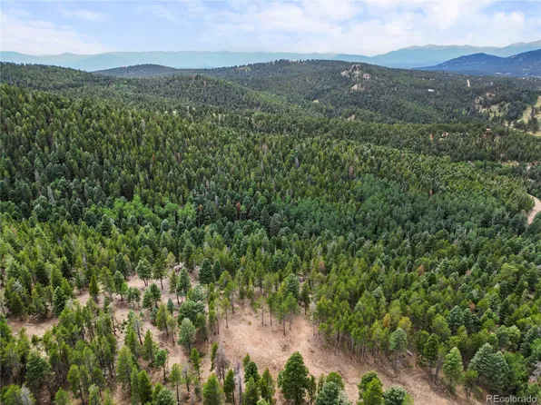 12329 Powhatan Trail, Conifer, CO 80433