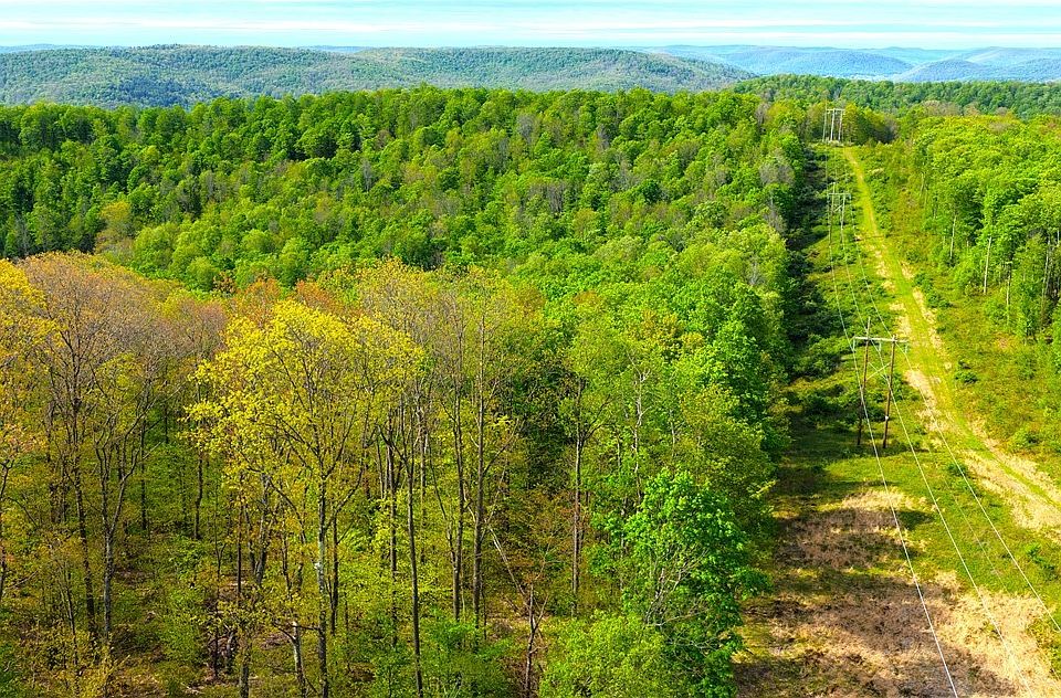 1st image of 0 Haines Hollow Rd Lot 1