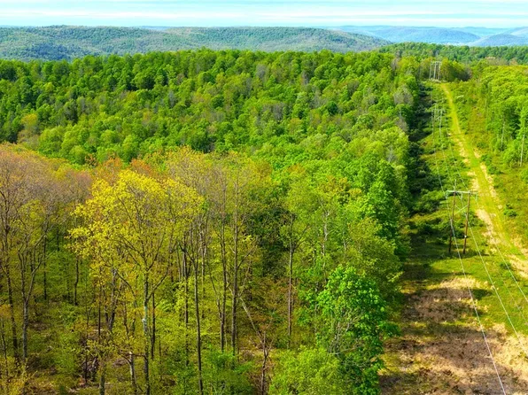 0 Haines Hollow Rd Lot 1, Great Valley, NY 14741