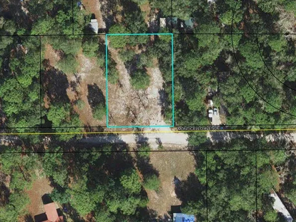 Monticello Ave, Panacea, FL 32346