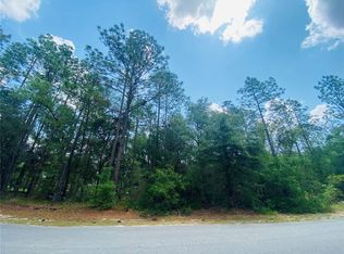 LOT 62 SW 203rd Ave LOT 62, Dunnellon, FL 34431