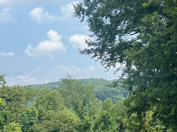 4th image of 275 Greensburg Pike