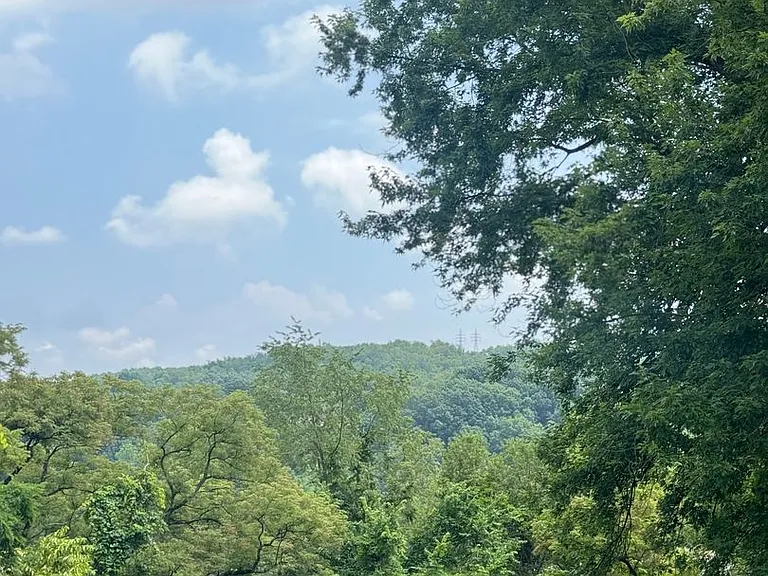 275 Greensburg Pike — Photo 4